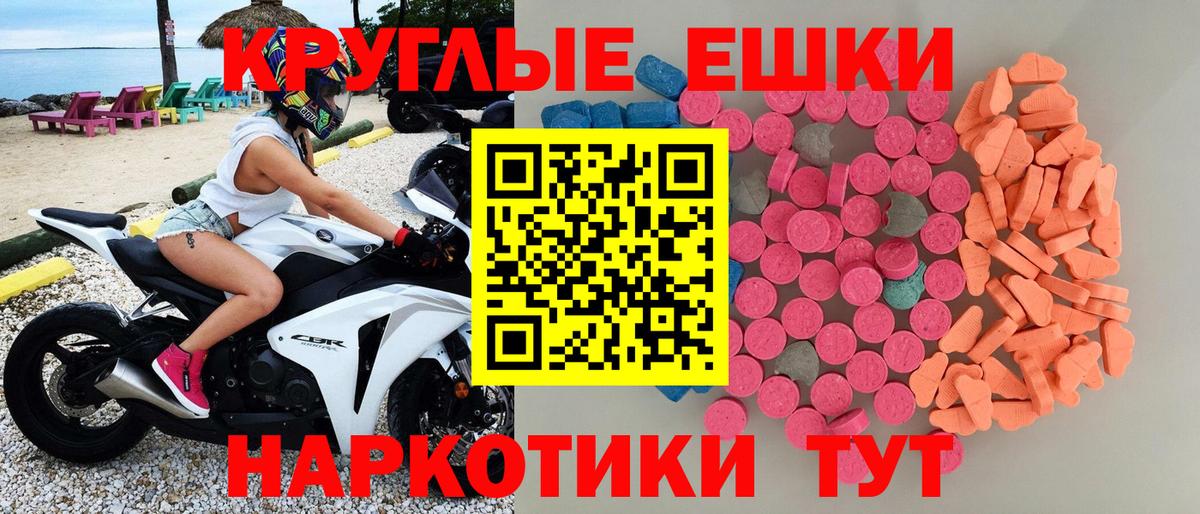 Ecstasy Philipp Plein Зима