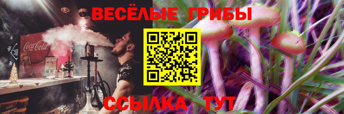 Псилоцибиновые грибы GOLDEN TEACHER  Галлюциногенные грибы Cubensis  Вход с VPN  Зима 