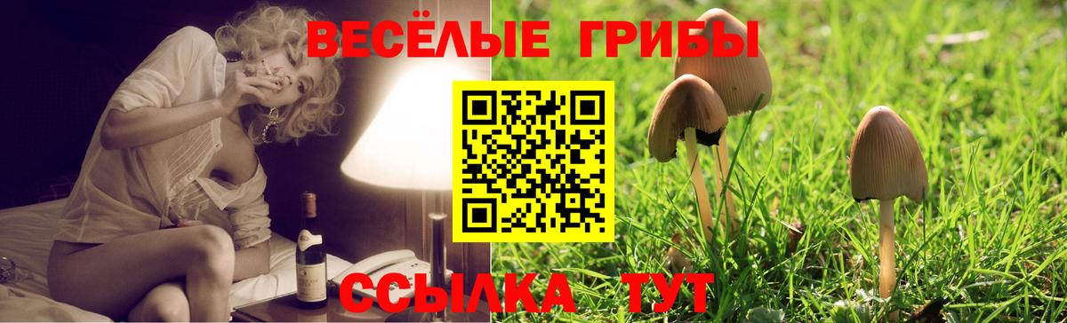 Псилоцибиновые грибы Magic Shrooms Зима
